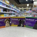 홈타운동물약국 이미지