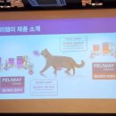 똑똑한 반려인이 되기 위해서 고양이병원 소설에서 열리는 소화기 세미나에 다녀왔어요!