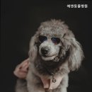 에덴동물병원 이미지