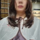 스타일링카케어 이미지