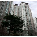 용이푸른약국 이미지