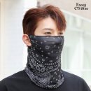 이지스포츠 이미지
