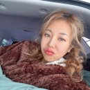 [강원/홍천] 6월 캠핑 모곡밤벌유원지 반려견과 함께한 노지 캠핑