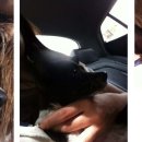 관우플라자 이미지