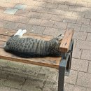 UR(천안시)-[대학로]-상-2 | 25년 10월의 일상 조각 모음📸