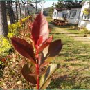 1월펜션 이미지