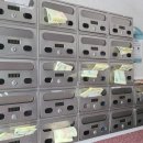 대덕면사무소 주차장 이미지