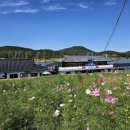 유람선선착장 앞 | 부여 백마강유람선 선착장 구드래나루터｜백제 역사 여행 코스 추천