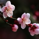 양산시 서창동 서창메디칼센타 ∼ 동원자동차정비 | 양산시 2月중 주요업무계획