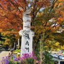 힐링몰(주) 이미지