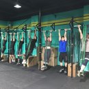 크로스핏무도 이미지