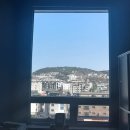 리빙클럽 | 고양시 씨앤비리빙 커튼,블라인드 야당동 휘트니스클럽 시공