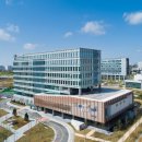 11월 17일 이미지