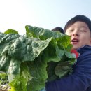 도림농장 이미지