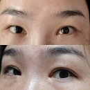 자연숲공방