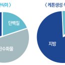 하루,한끼 이미지