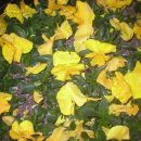 교직원콘도 이미지