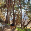 카페로사 - 군포시 고산로 529 | 카페로사