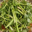 송파정情칼국수 | [내돈내산] 문정역 맛집 ‘등촌샤브칼국수 문정점’ - 사장님 정에 감동하고 온 솔직 후기!