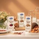 비나코리아 이미지