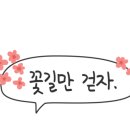 댕모아 이미지