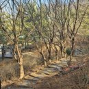 아랫배랭이 이미지