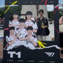 비제이투어 | 26년 7월 12일 MSI 결승전 직관 후기