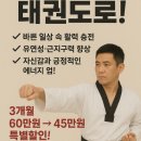 하나용인대태권도(2층) 네이버블로그