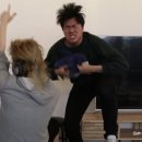 갤러리이상 이미지