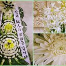 야탑동 351 (분당차병원) 이미지
