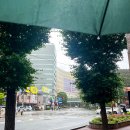 아트인카 | 후쿠오카 6월 날씨 전망: 장마철 습도 폭탄 속에서 살아남는 실전 가이드