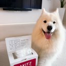 향기나는 강아지 | 강아지배변봉투 산책 필수품 아키즈 향기로운 똥봉투