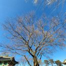 진주성 서장대 이미지