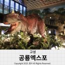 고성군 13 | 고성공룡엑스포 2025년 행사 일정 및 방문후기