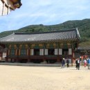 불갑사 만세루 이미지