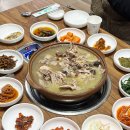 백야가든 이미지