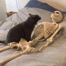 헤이디포트 | 동탄 나들이, 자라구경, 왕가위 특별전