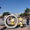 동탄센트럴파크 게이트볼장 이미지