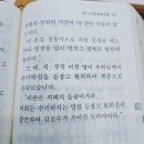 대광사
