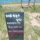 제주하늘을날다