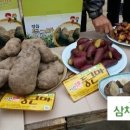 예찬농장 이미지