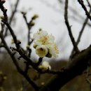 농부네텃밭도서관 이미지