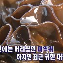 미역귀의 효능 이미지