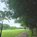 L.K GOLF | [치앙마이] 내 돈 내산 골프장 세 곳 비교 분석 (알파인, 노스힐, 하이랜드)