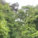 바람에정원 민박 이미지