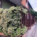 자스민민박 이미지