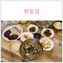 회동집2관 | 정선 아리랑시장 맛집 회동집 콧등치기국수 후기 난맛있다
