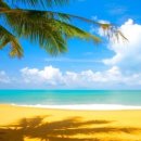 바다이야기2 이미지