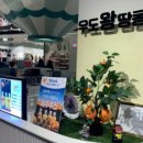 다산 빵집 현대프리미엄아울렛 베이커리 우도왕땅콩과자 현대프리미엄아울렛스페이스1 가성비 좋은 빵과...