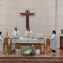 판암동165 이미지